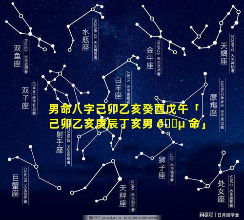 男命八字己卯乙亥癸酉戊午「己卯乙亥庚辰丁亥男 🌵 命」